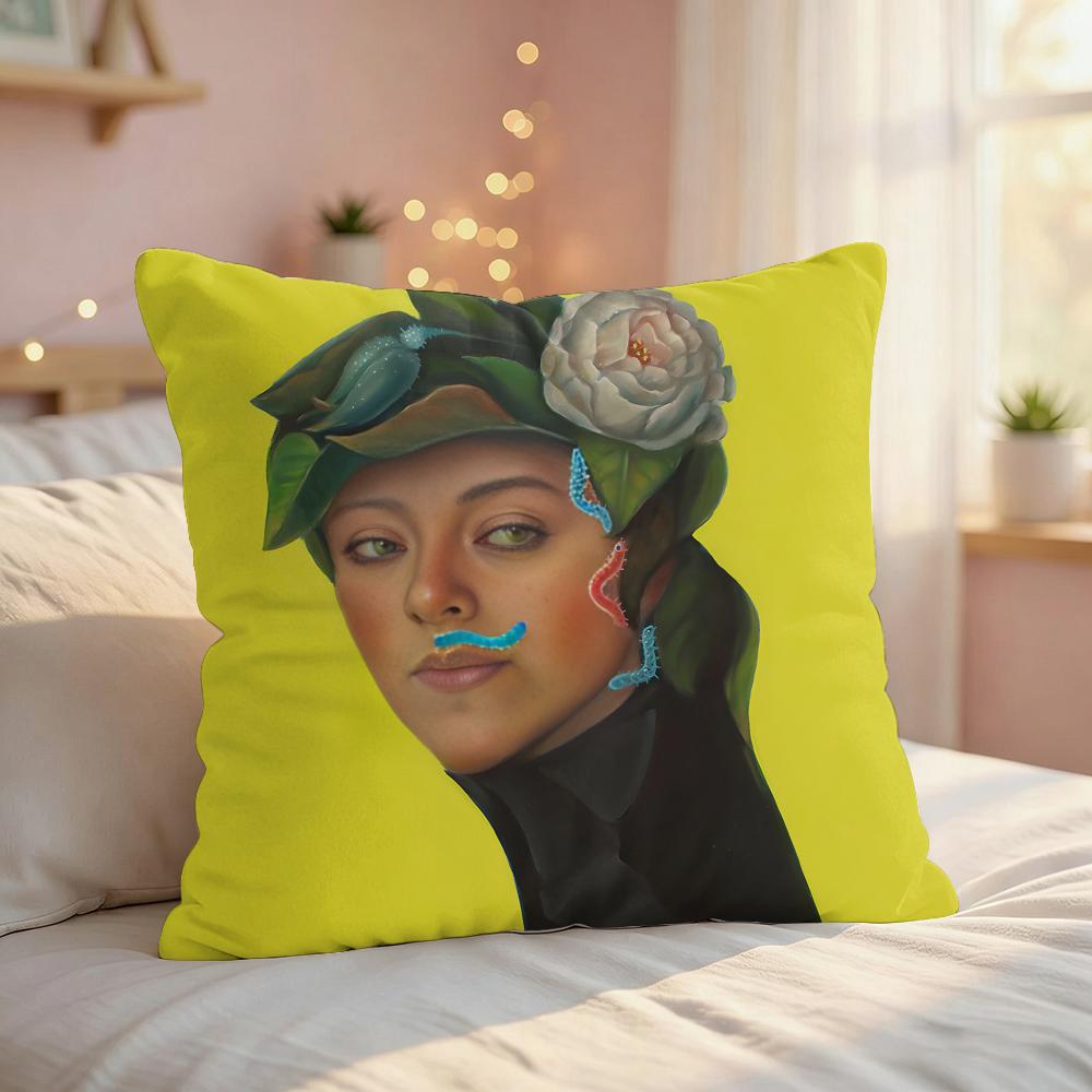 NNatasha Lelenco Abstract Art Cushion Cover Silky Short Plush Invisible Zipper Dustproof Sofa Pillow Case For Home Decor