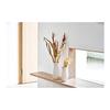 Tokyodo Dried Flower Hahakogusa Approx. L45.1cm 1 Bunch 30g DN000027-zzz