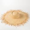 Spring and Summer New Raffia Big Eave Hat, Mori Girl Tide Hat, Raffia Big Edge Hat, Big Burr Casual Hat Tide Hat