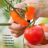 Picking Vegetable Thumb Knife Picking Pepper Bean Angle Iron Nail Picking Vegetable Picking Agricultural Picking Magic Tool