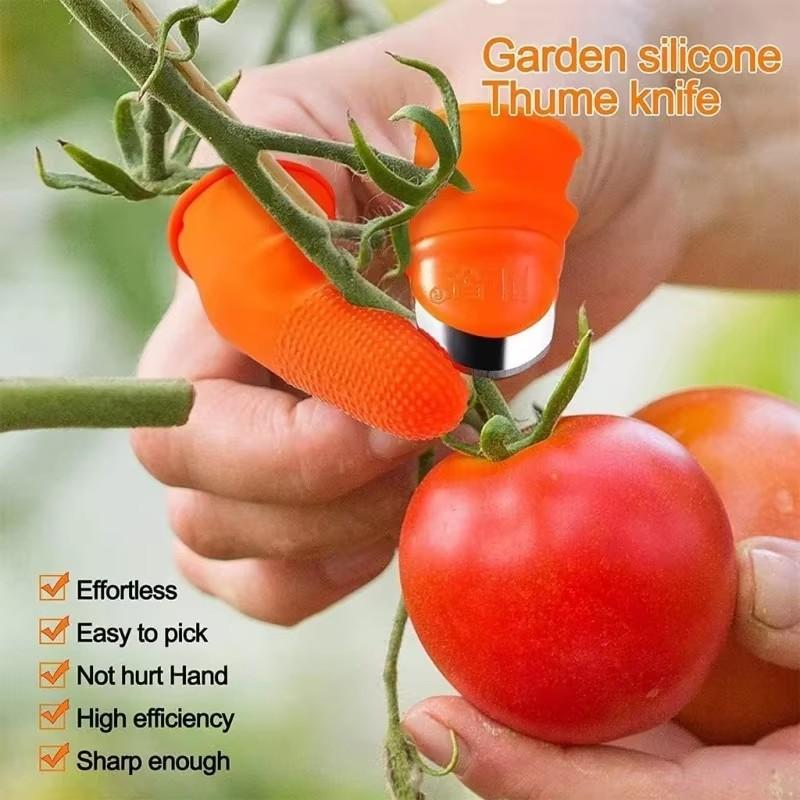 Picking Vegetable Thumb Knife Picking Pepper Bean Angle Iron Nail Picking Vegetable Picking Agricultural Picking Magic Tool