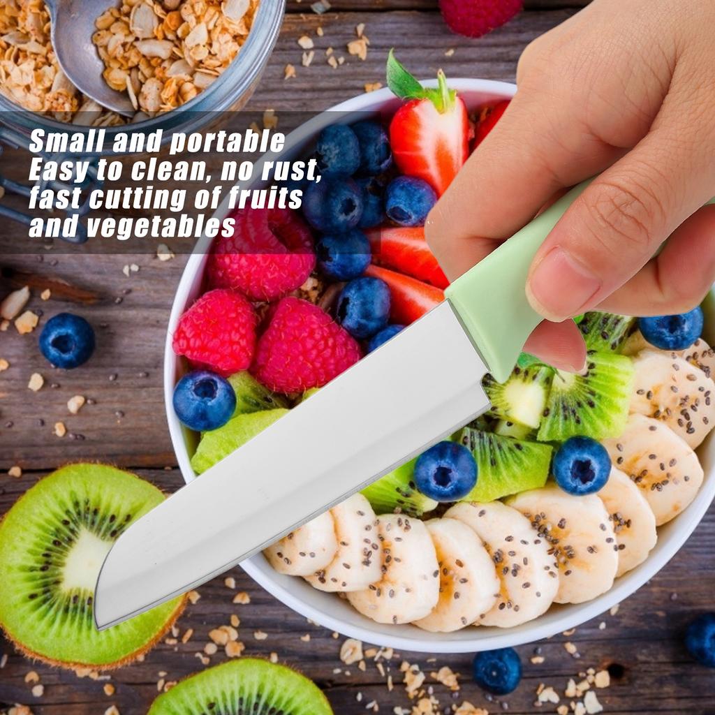 Tragbares Küchenmesser aus Edelstahl für Obst und Melonen mit Hülle für den Heimgebrauch