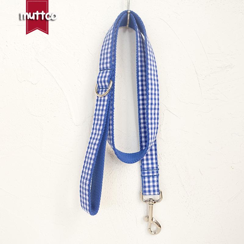 Custom Blue Dog Collar and Leash Set for Large Pets XL