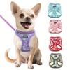 Breathable Pet Harness & Leash Set, Adjustable Soft Mesh Vest for Small Dogs Cats, No Pull Escape Proof Outdoor Walking