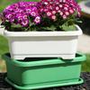 1Set Plastic Vegetable Planters With Tray Rectangular Flowerpots For Balcony Indoor Gardening Breathable Plants Pots Garden Tool