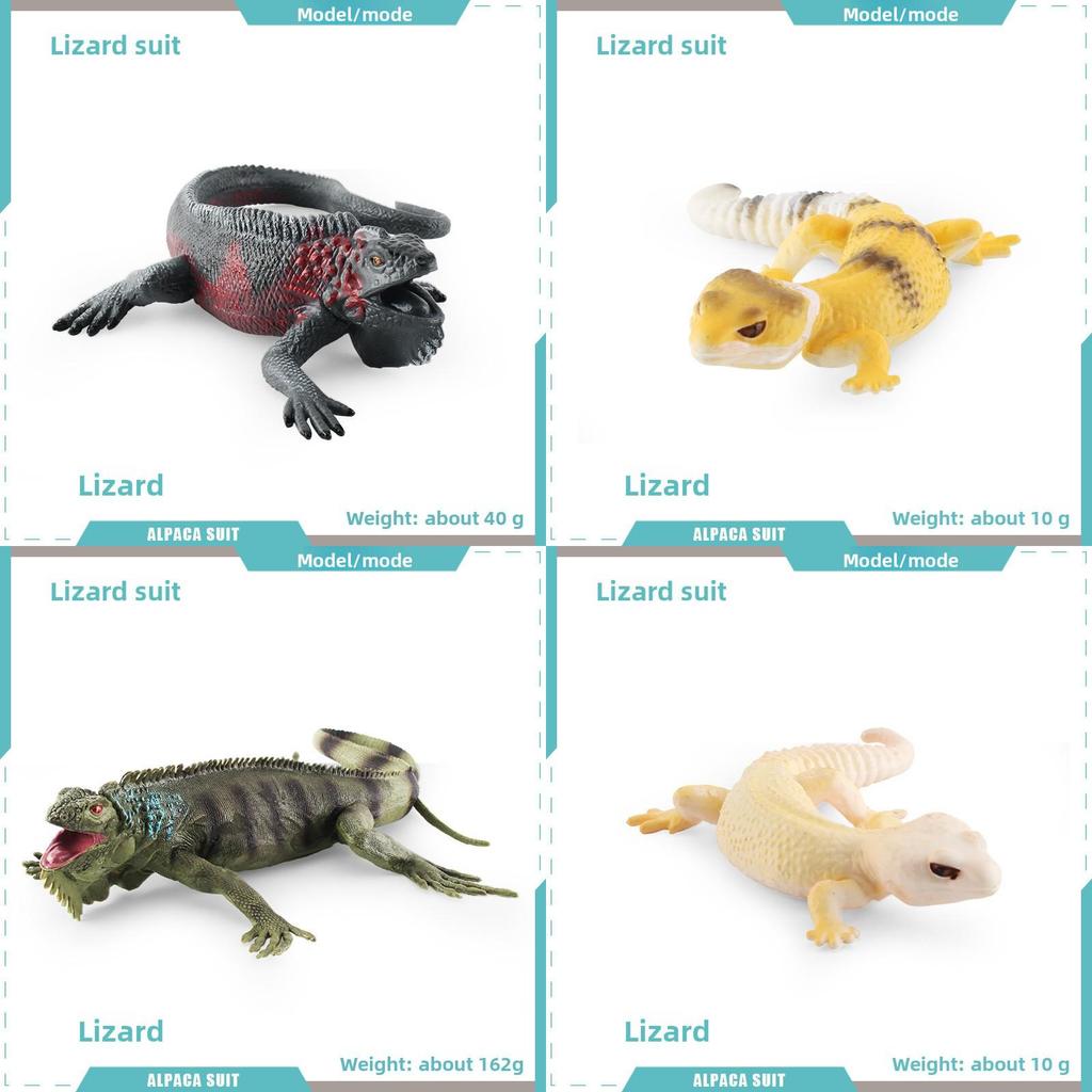 Realistic Reptile Lizard Chameleon Model With Assembleable Chameleon And Gecko Figures For Collectors And Kids