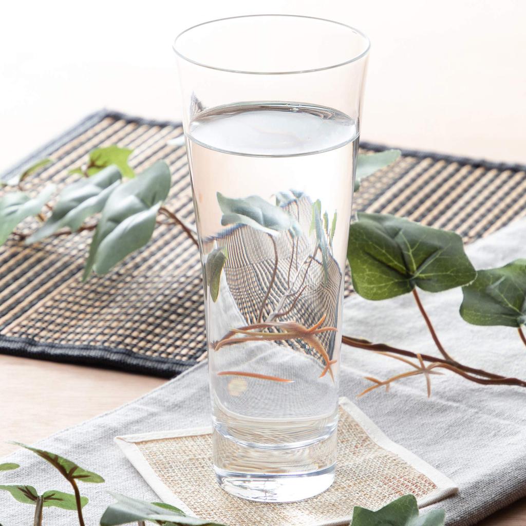 Toyo Sasaki Glass Tumbler Glass Odin Tumbler 310ml Set of 6 Made in Japan Dishwasher Safe Unbreakable Good Design Award Glass Cup Beer Glass Highball