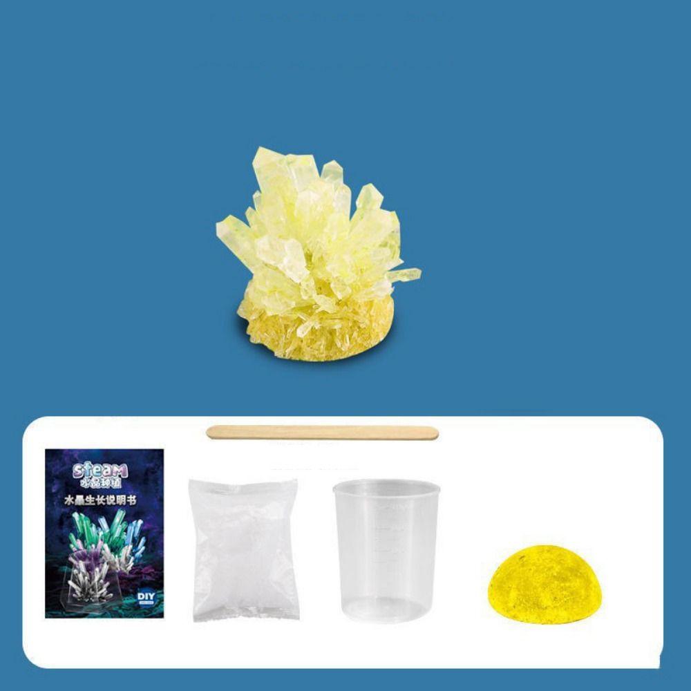 Display Cases Crystal Growing Kit Grow a Crystal Vibrant Colored Crystals DIY Educational Science Toys Mold Shapes