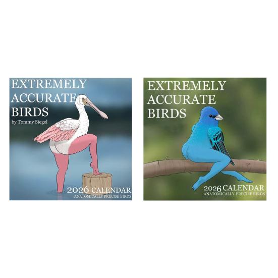 Calendar de perete 2026 Păsări amuzante Calendar de perete de agățat ian.. până în Dec.2026 Planificator de 12 luni Cadou amuzant de Crăciun Cadou Elefant Alb pentru adulți