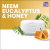 Boroplus Antiseptisk Fuktighetsgivende Badesåpe Med Neem Eukalyptus Honning 125G X 6 For Myk Glatt Hud