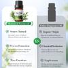 Body Scent Essence Oil, 10ml Moisturizing Care for All Skin Types, Daily Use Fragrance for Women Men, Luxurious Feel