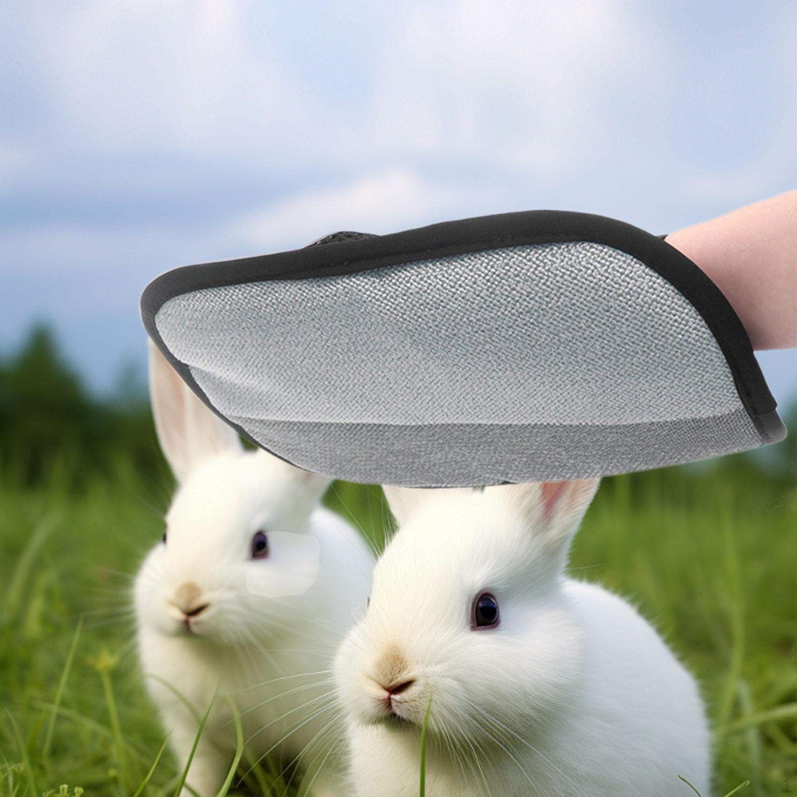 

Cat Grooming Gloves Hair Remover Brush Cleaning Pet Removal for Rugs Clothes Furniture