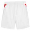 Puma Shorts Individual Tra