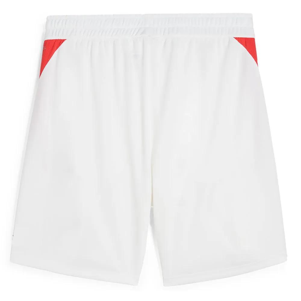 Puma Shorts Individual Tra