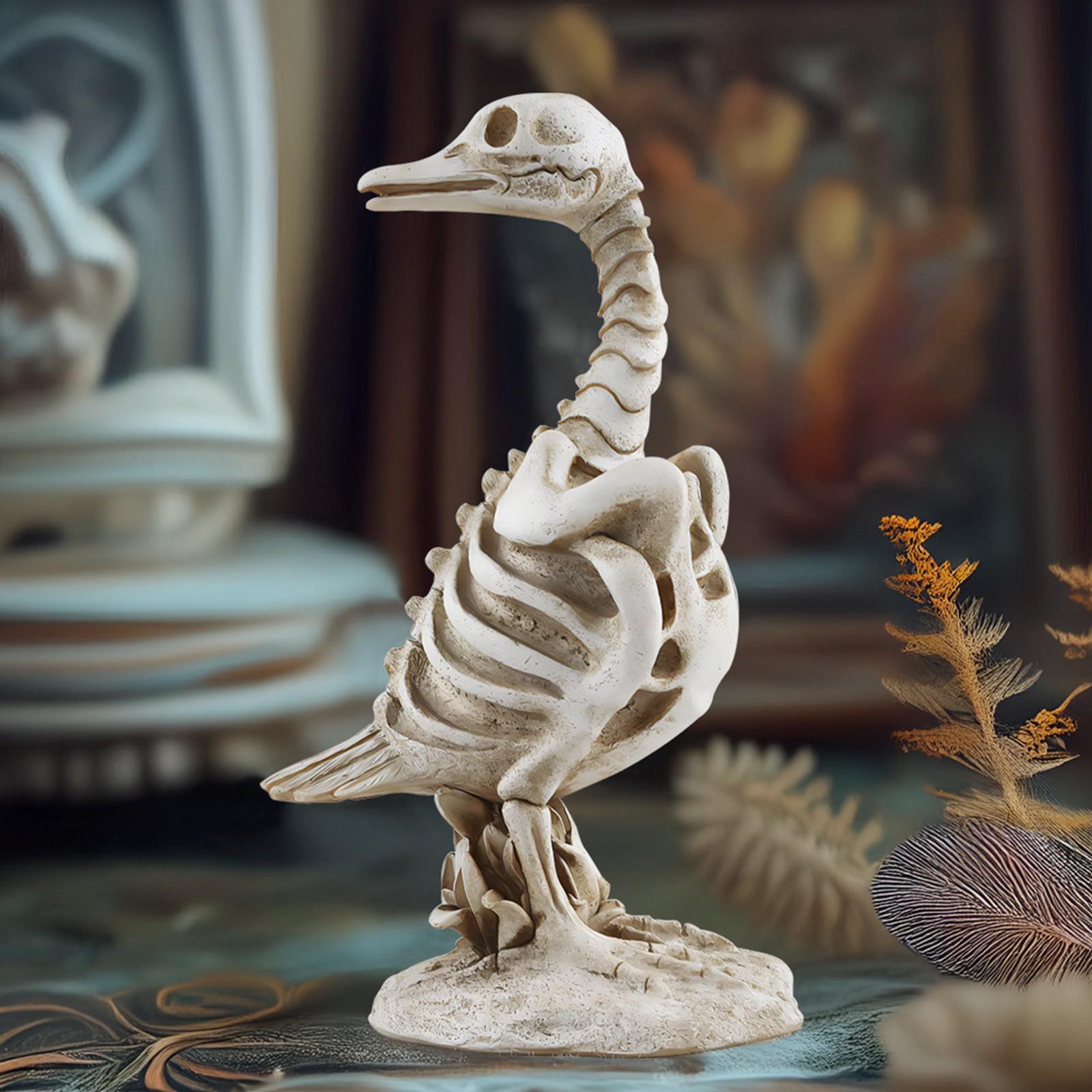 

Набор украшений в виде головы скелета Креативная смола Голова Микросад Керамическое украшение One Size белый