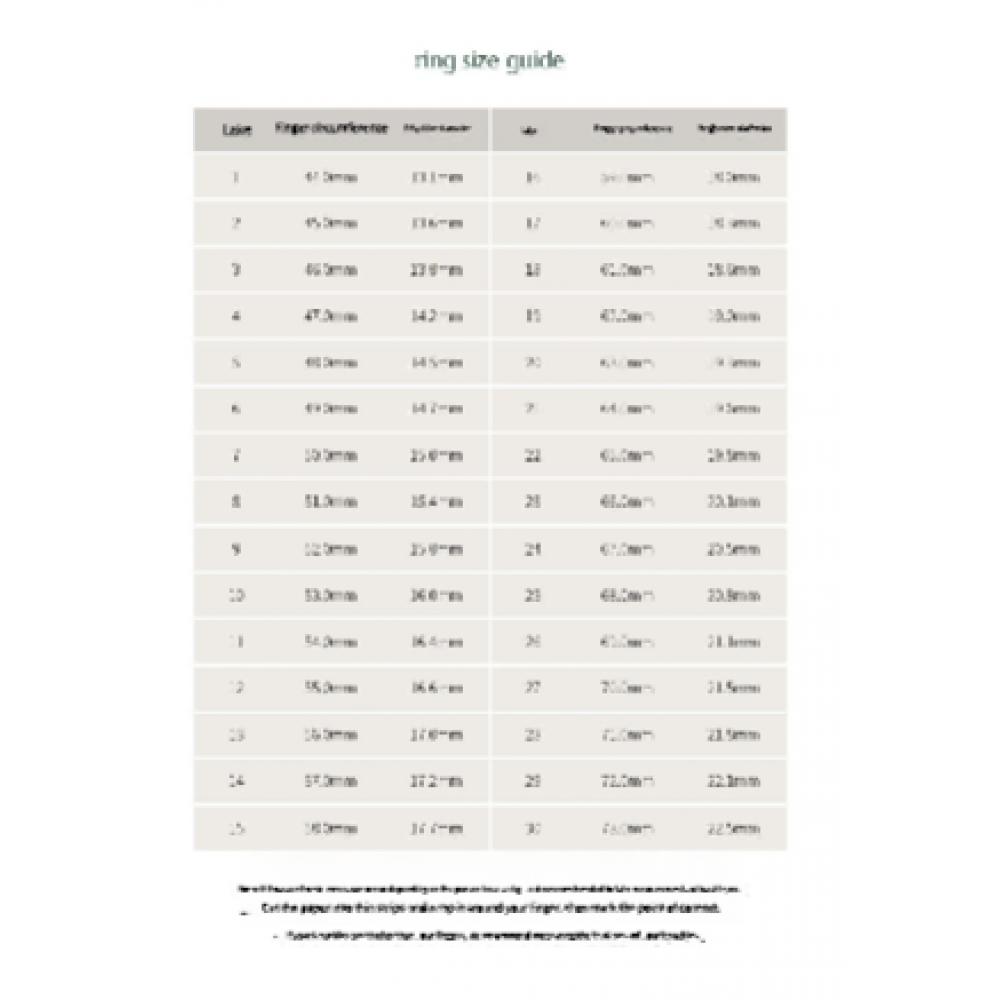 VERTE [925 Silver] Anse Dew Ring   Cinq.silver.210