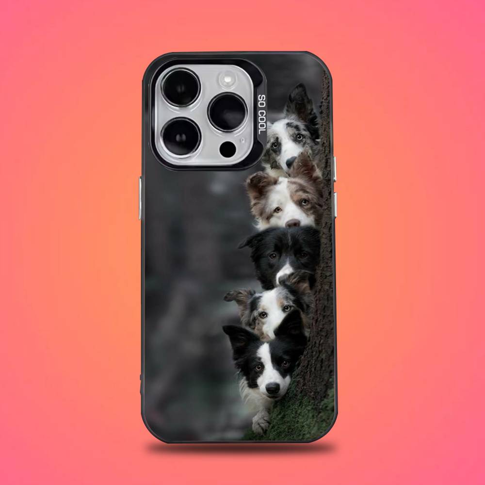 Border Collie Dog Phone Case For iPhone 16,15,14,13,12,11,Pro,Max,Plus,Mini,XS,SE Anti Fall Black Matte Hard Bumper