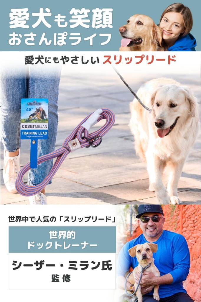 Slip Lead by Cesar Millan Length Thickness by Dog for medium and large dogs Regular small and medium Approximate weight under [Genuine Product] 120cm,