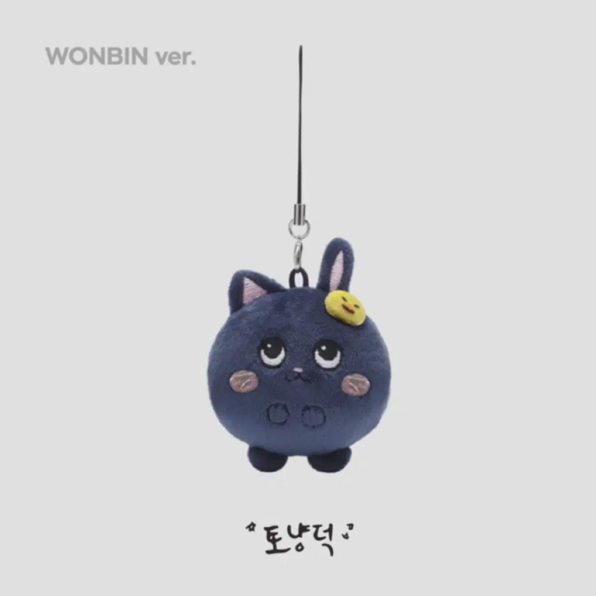 

Riize Wonbin Mini Tonyangduk