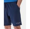 Шорты спортивные Tommy Hilfiger Logo