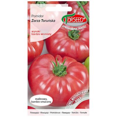 Tomate Zorza Toruńska große frische Gemüsesamen PREMIUM 0,5 g