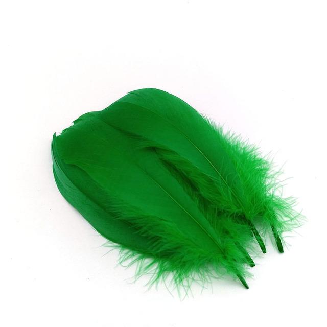 20pcs /Lot Goose Feathers For Crafts Diy Pluams Jewelry Making Wedding Clothing Decoration Accessories Needlework Plumes 15 .20cm
