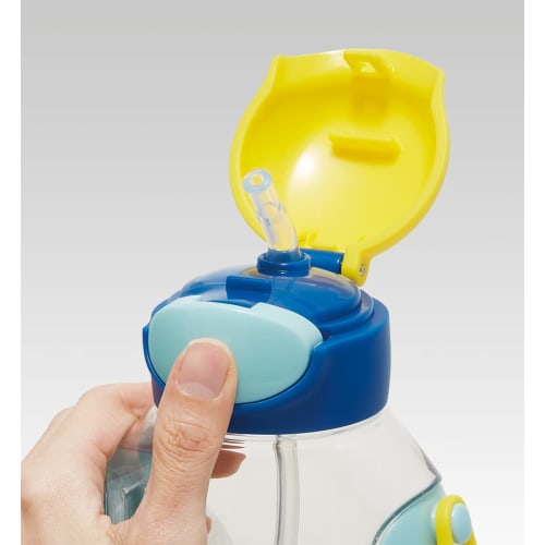 Skater Water Bottle with Straw, 530ml, Maizen Sisters Straw Water Bottle, One-Push Operation, for Girls, PDSH6DX-A