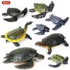 Children's Cognitive Marine Animal Models: Sea Turtle and Tortoise Toys