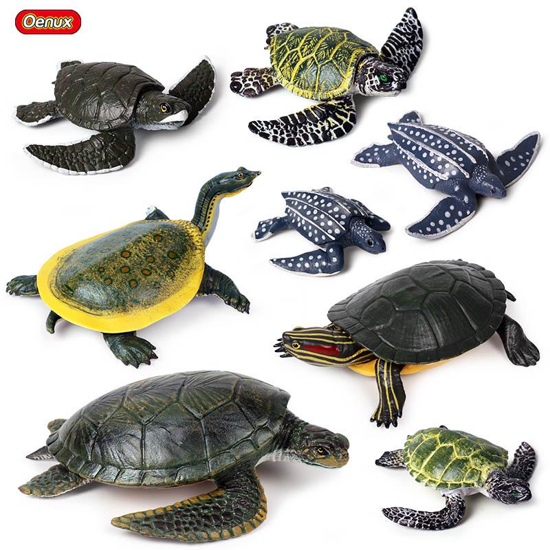 Children's Cognitive Marine Animal Models: Sea Turtle and Tortoise Toys