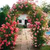 Pergola - Garden Gate, Arch