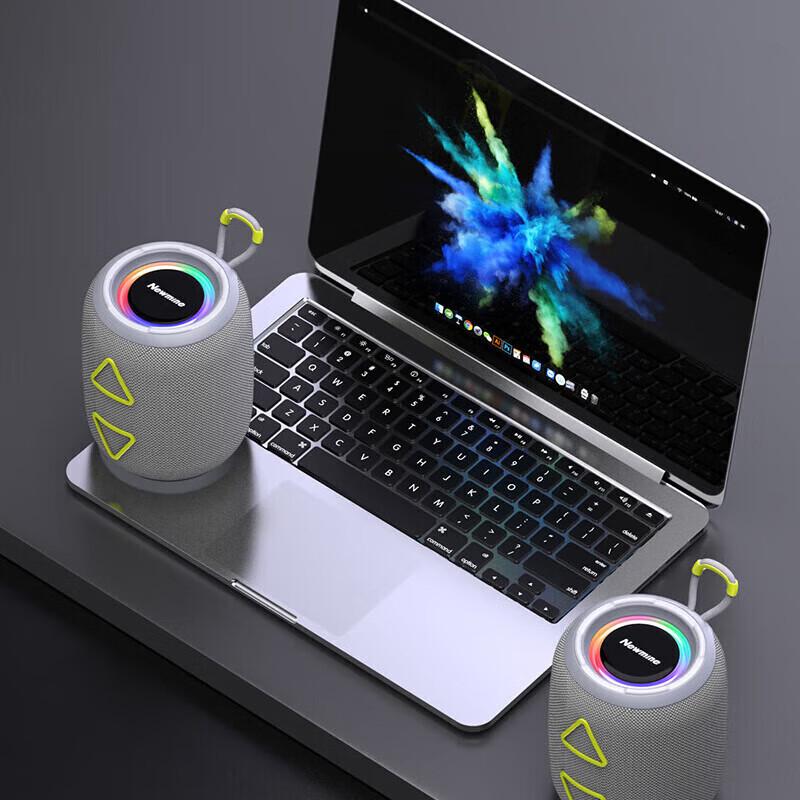 Newmine BT87 Portable Bluetooth Speaker