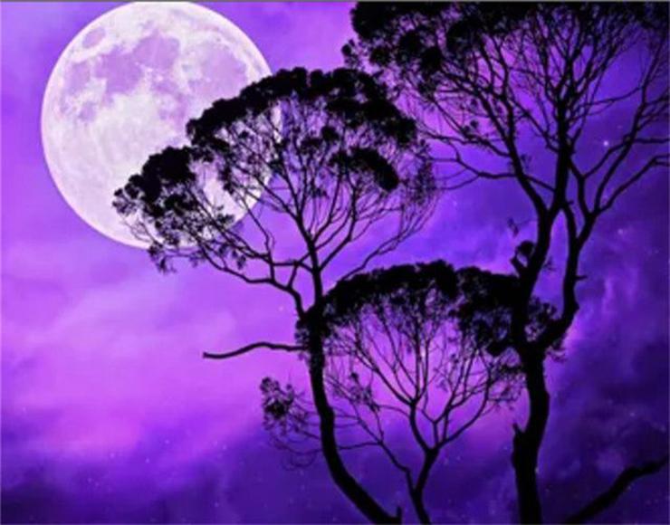 

RUOPOTY краска по номерам лунный пейзаж уникальный подарок украшение дома картина по номерам морской акриловый рисунок на холсте 40x50cm NO Frame