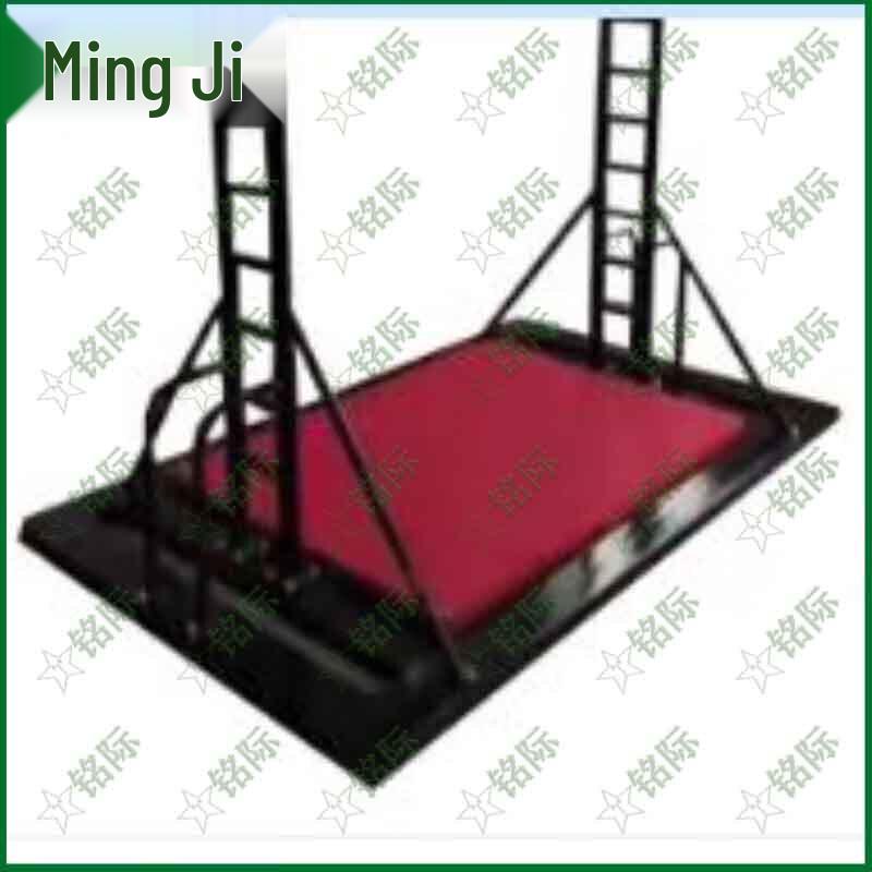 Adjustable Pull-up Bar with Mat