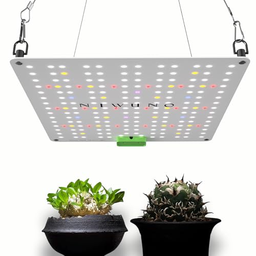 Niwuno LED Grow Light Panel with UVa+IR for Houseplants, Agave, Tuberous Roots, Aquariums, Succulents, Platycerium Ferns, and Aquariums (Aurora Q-Pad,