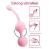 Wireless Vibrator Remote Control Kegel Ball Vibrate Love Egg Sex Toy for Couple Adult Product Women Sexy Female Vibro USB