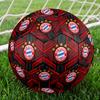 FC Bayern Munich Printed Football | Size 5