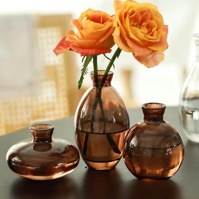 3-delige set Creatieve Glazen Vaas Minimalistische Bureau Decoratie Water Voedende Bloemen Groene Planten Gedroogde Bloemen Vaas Decoratie