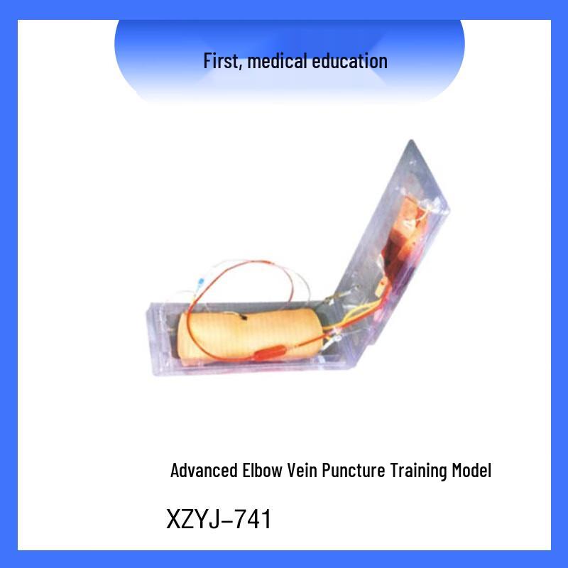 Xianze Medical Advanced Elbow Venipuncture Training Model