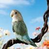 Comfortable Grip Bird Climbing Rope Simulation Vines Parrot Standing Perch  Cage Enrichment