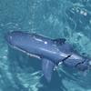 Funny RC Shark Toy Remote Control Animal Bath Tub Pool Electric Toys for Kids Boys Children Cool Stuff Sharks Submarine