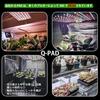 Niwuno LED Grow Light Panel with UVa+IR for Houseplants, Agave, Tuberous Roots, Aquariums, Succulents, Platycerium Ferns, and Aquariums (Aurora Q-Pad,