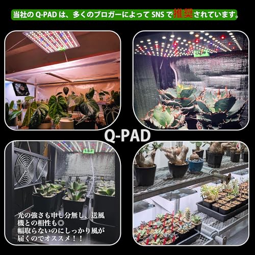Niwuno LED Grow Light Panel with UVa+IR for Houseplants, Agave, Tuberous Roots, Aquariums, Succulents, Platycerium Ferns, and Aquariums (Aurora Q-Pad,