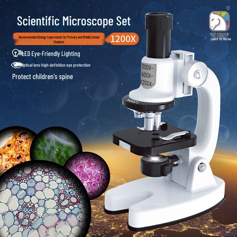 Mikroskop s vysokým rozlišením 1200x pro studenty - Pozorujte bakterie, Biologická sada pro domácí použití