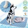 Summer Dog Cooling Mat Ice Slicky Fiber Fabric Cat Sleeping Pad  For Puppies And Adult Dogs
