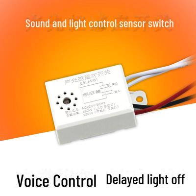 220V Sound & Light-Controlled Ceiling Light Switch, 40W Auto Delay for Corridor