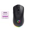 Periferice pentru calculatoare – Mouse-uri