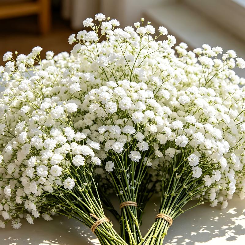 Künstliche Blumen Künstliche Schleierkraut, Farbe Künstliche Schleierkraut-Sträuße Für Hochzeitsdekoration Dekorative Requisiten Für Fotografie
