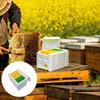 Königinnenzuchtkasten Zucht Bienenstock Werkzeuge Bienenstock Bienenvolk Bienenstock Bienenstöcke für Bienen Sommer Fomão Haus Garten Styropor Ausrüstung