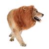 Dog wigs medium and large dog accessories pet dog wigs (With tail)