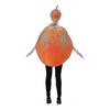 Funny Halloween Orange Fruit Slice Costume For Adults